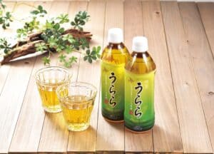 緑茶うらら